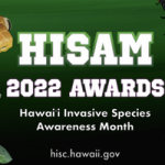 2022 HISAM Awards graphic