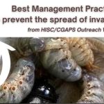 Best Management Practices for Invasive Species from HISC/CGAPS working group graphic