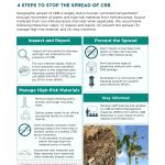 Hawaii CRB 4 steps Everyone Can Do