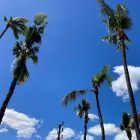 crb pakm damge crb response