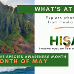 HISAM 2025 - Explore whatʻs at risk mauka to makai