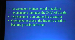 D&Y - Reef Safe Sunscreen News Conference3