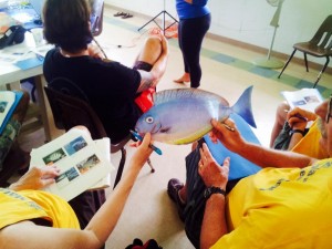 Minimum Size fish cut outs - Pupukea