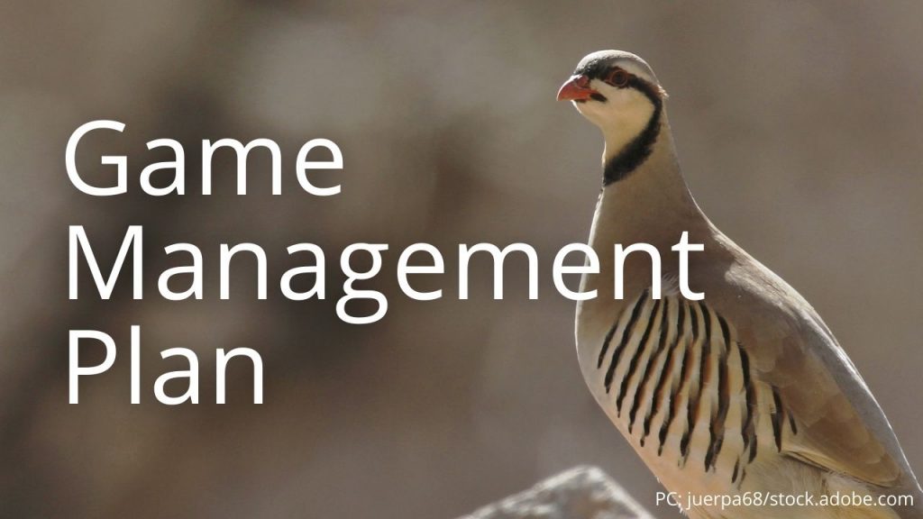 An image of a chukar partridge linking to Game Management Plan
