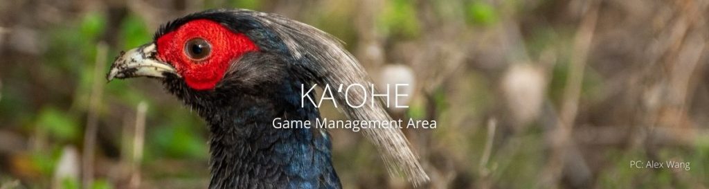 webpage header for kaohe gma