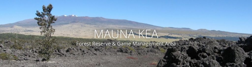image of landscape in Mauna Kea