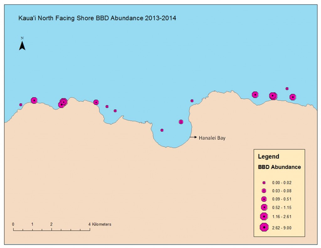 Runyon_BBD abundance 2013-2014