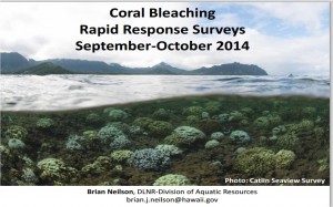 click to download latest data report