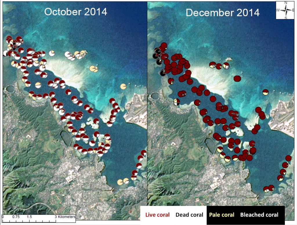 map showing coral recovery from bleaching in Kaneohe bay