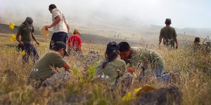 We need your kōkua...volunteer!