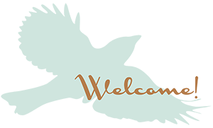 welcome bird