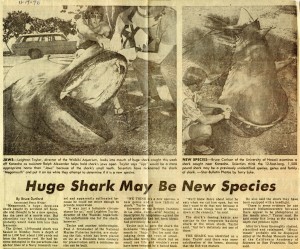 Megamouth shark article