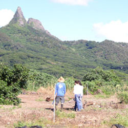 The site visit is one of the first and most important parts of conservation planning.
