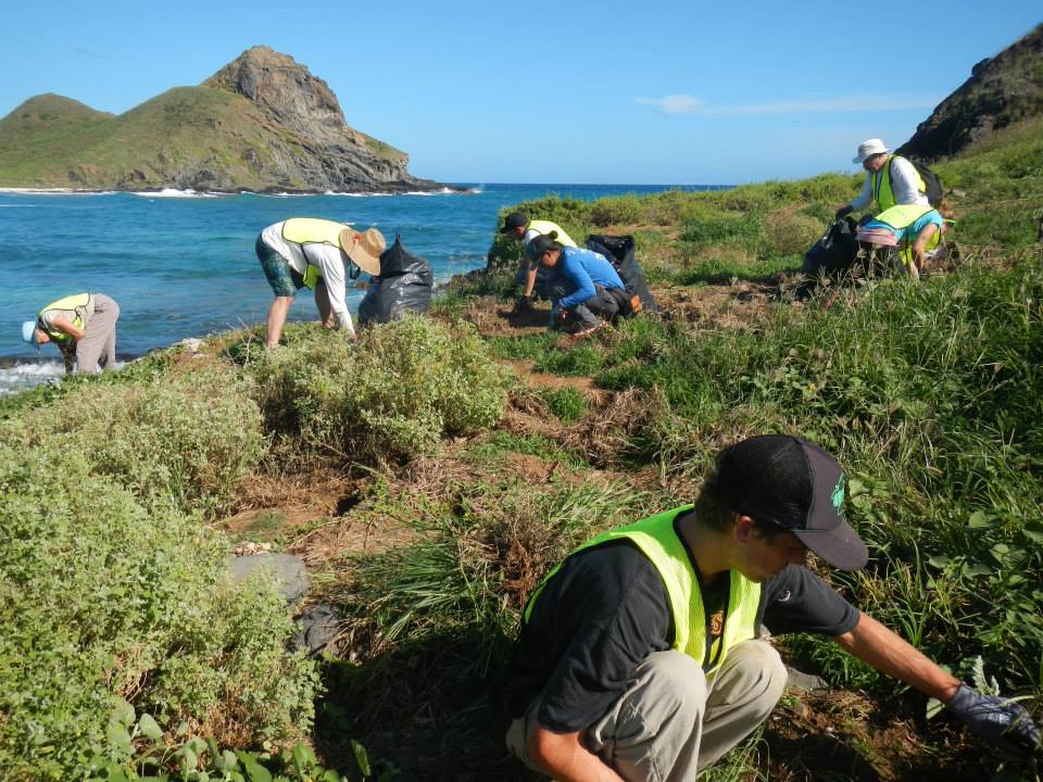 offshore islands restoration photo3
