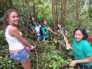 Students cutting strawberry guava