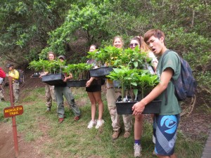 Students with Out-plants