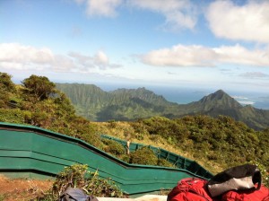 Poamoho Exclosure photo