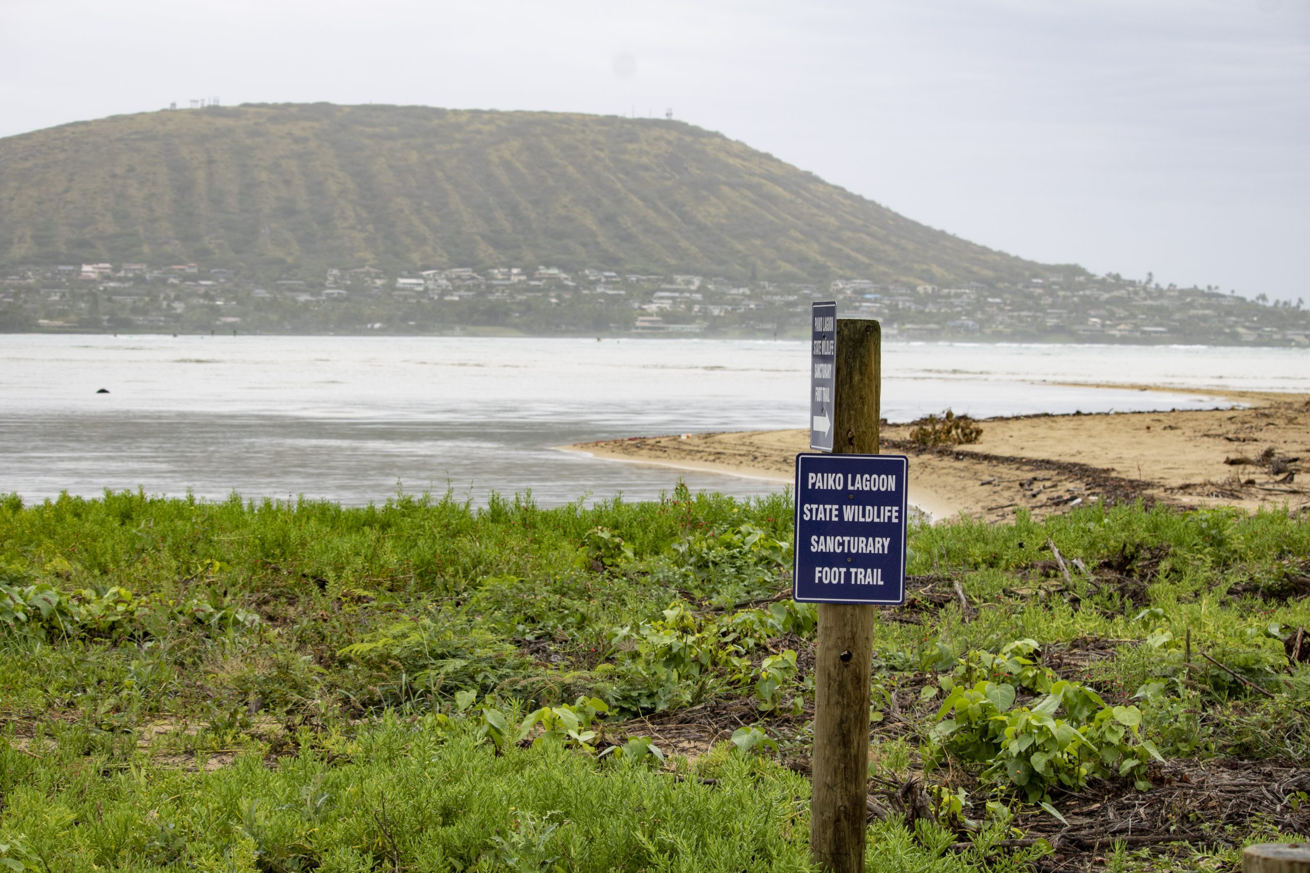 Image of Paiko Lagoon Wildlife Sanctuary