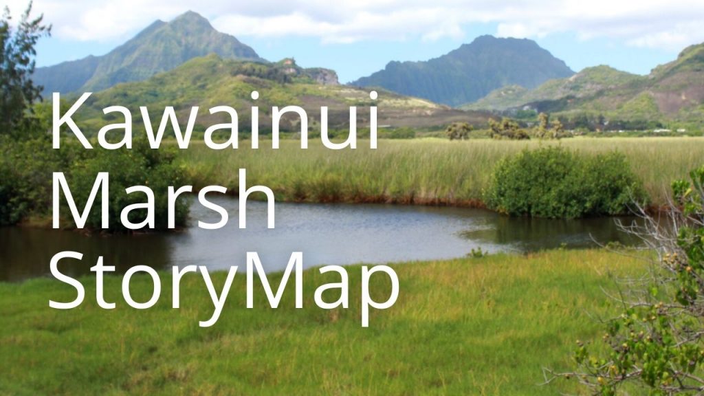 An image of Kawainui Marsh linking to a StoryMap