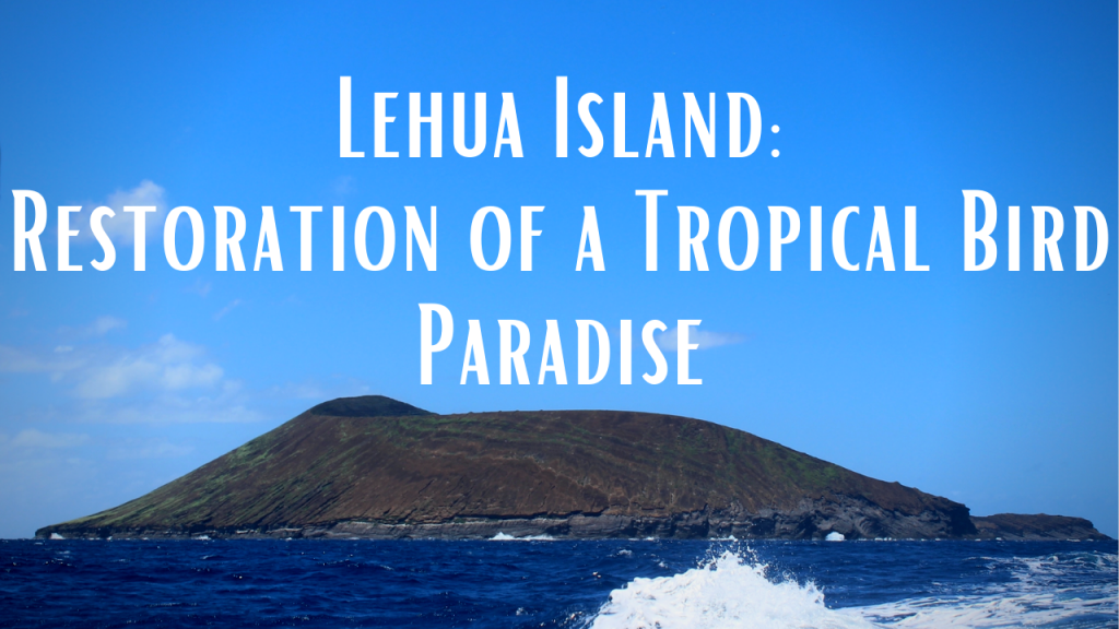 lehua video thumbnail