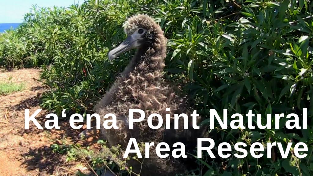 keana point thumbnail