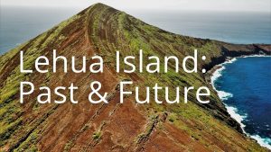 lehua storymap visual button