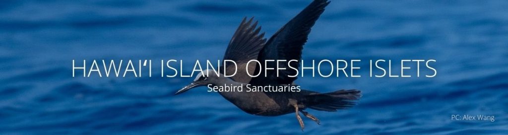 webpage header for hawaii offshore isletes