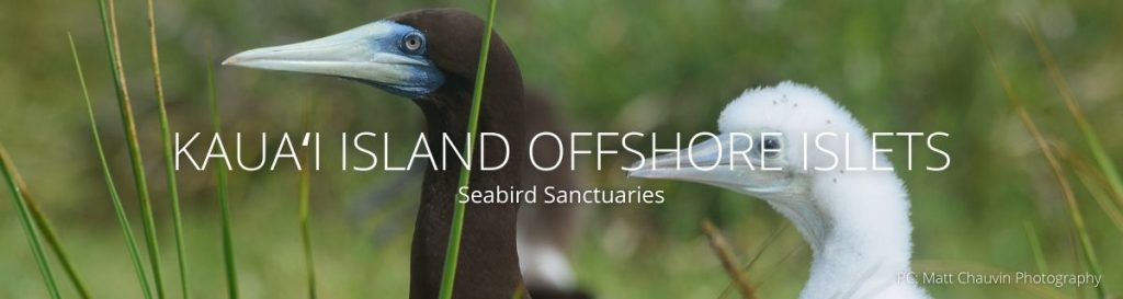 webpage header for kauai offshore islets