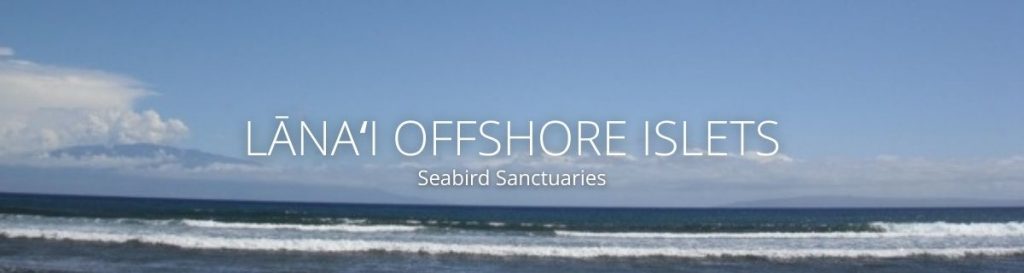 webpage header for lanai offshore islets