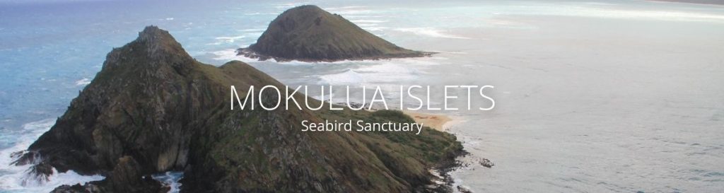image of mokulua islets