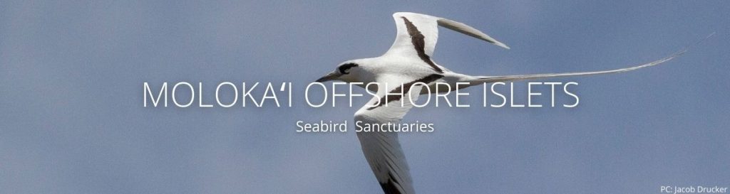 webpage header of Molokaʻi islets