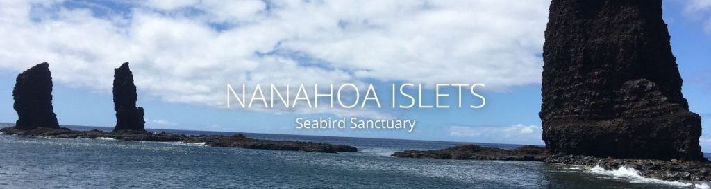webpage header of nanahoa islets