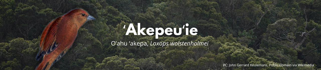 ʻAkepeuʻie