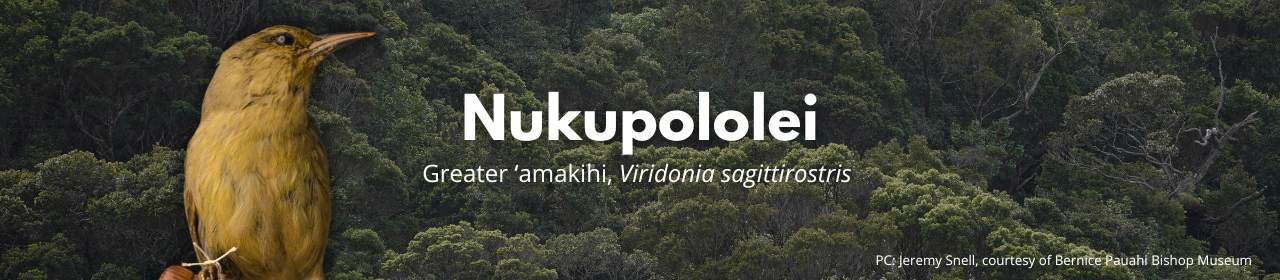 Nukupololei banner