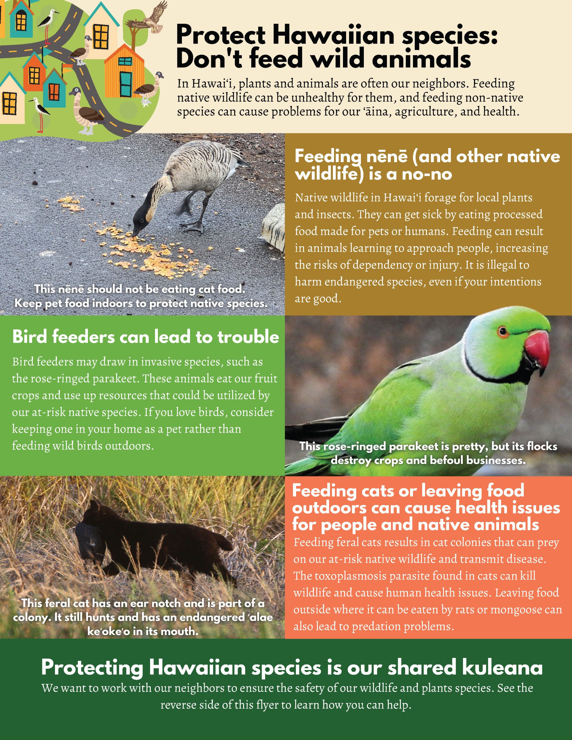 Protect Hawaiian Species: Don't feed wild animals