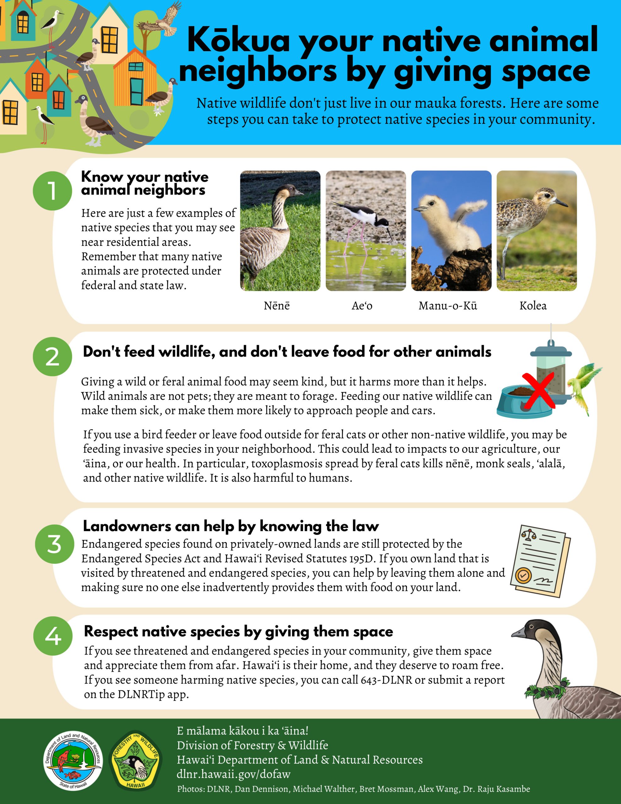 Keep wildlife wild- don't feed wild animals p2