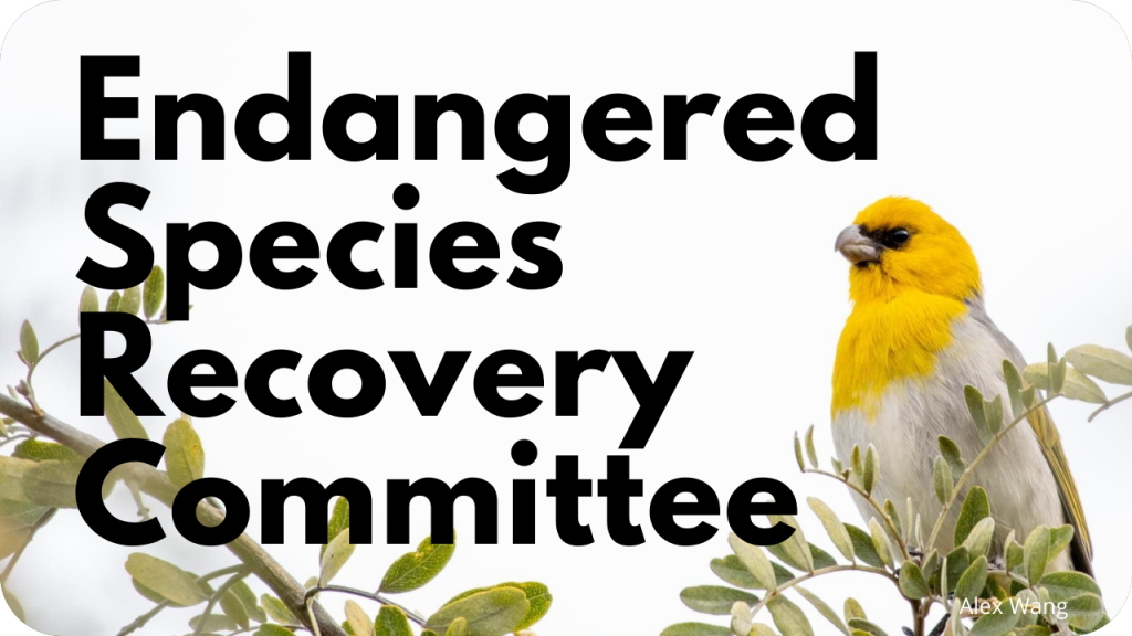 Endangered species recovery committee