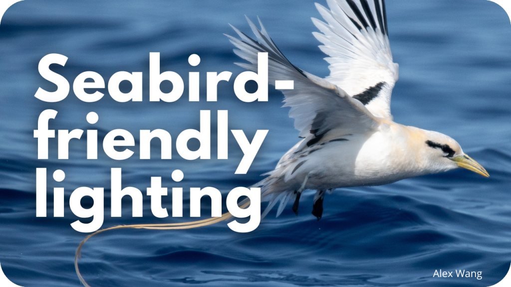Seabird-friendly lighting