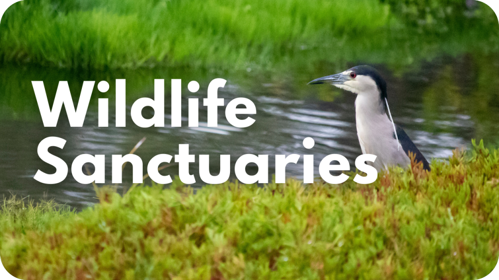 Wildlife Sanctuaries