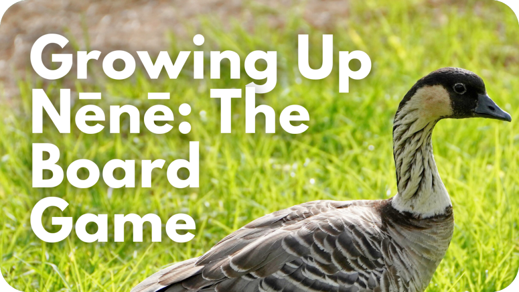 Growing up nēnē, the board game