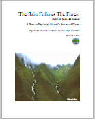 The Plan