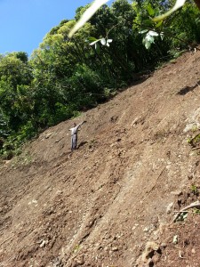 Aaron Lowe, Na Ala Hele Trail and Access Specialist, inspects large section of the Aihualama Trail removed by landslide