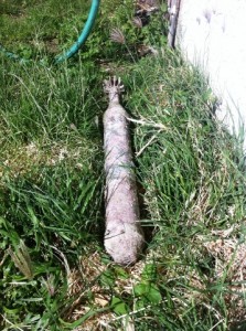 Ordnance Found At Hapuna Beach