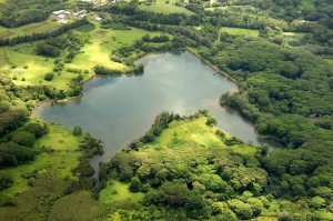 Wailua Dam