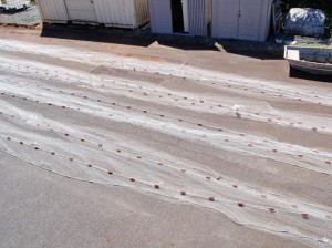 Illegal length and mesh size net. DOCARE photo.