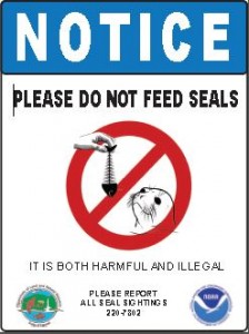 Please Do Not Feed Seals