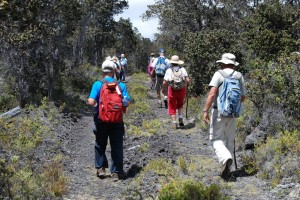 Volunteers at Kulani