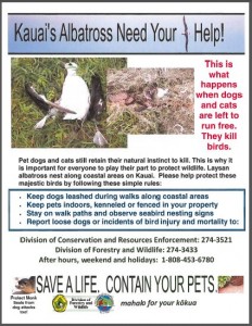 Moloaa Bay Albatross Kill Flier