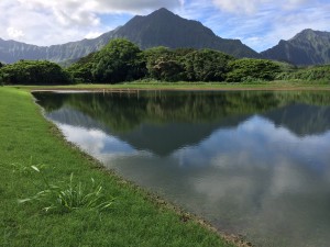 Photo courtesy Division of Forestry and Wildlife