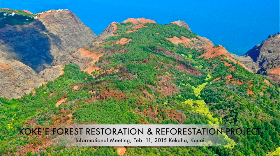 Kokea-Restoration-Update